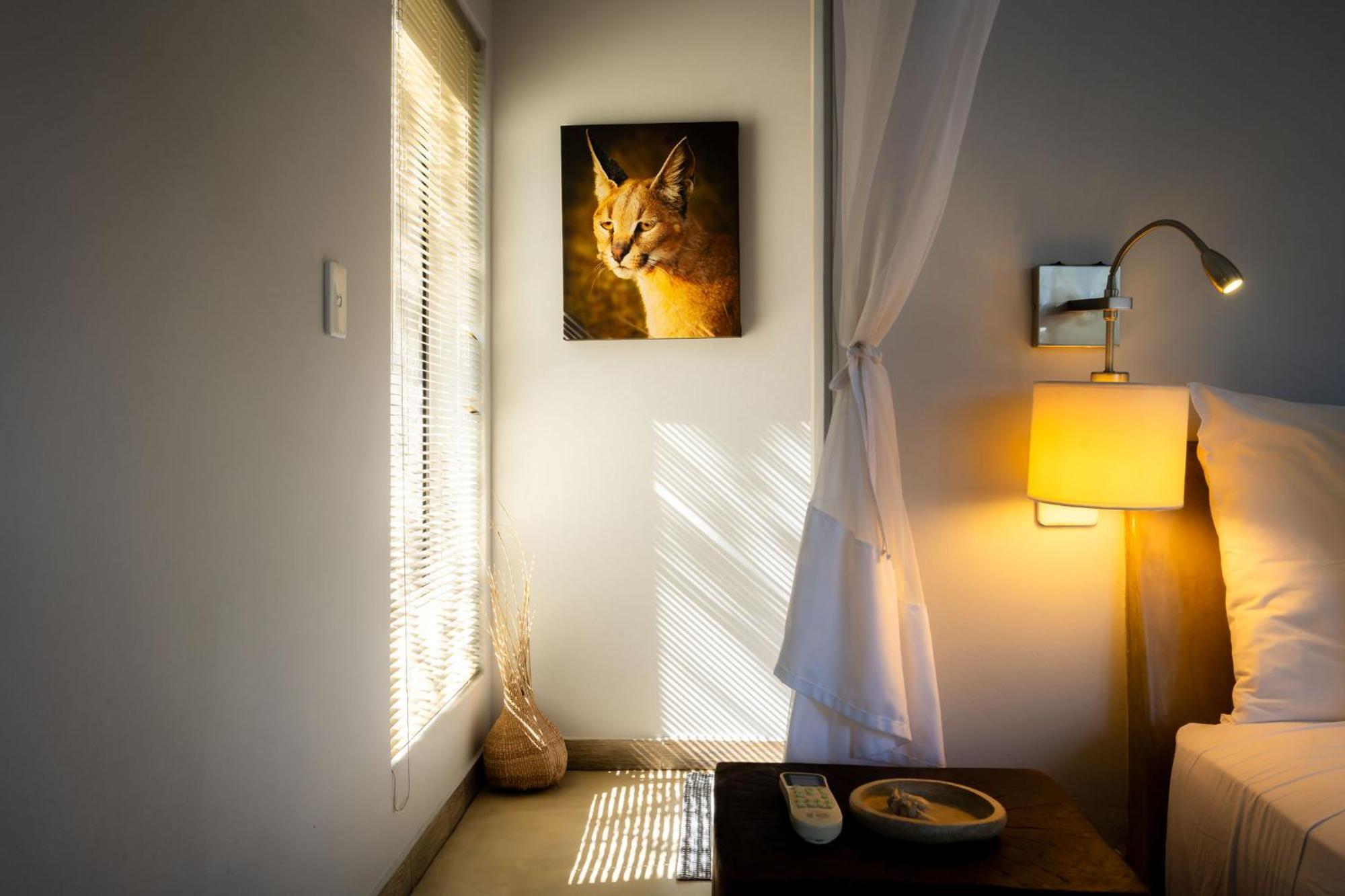 Rafiki Bush Lodge Ходспруит Екстериор снимка